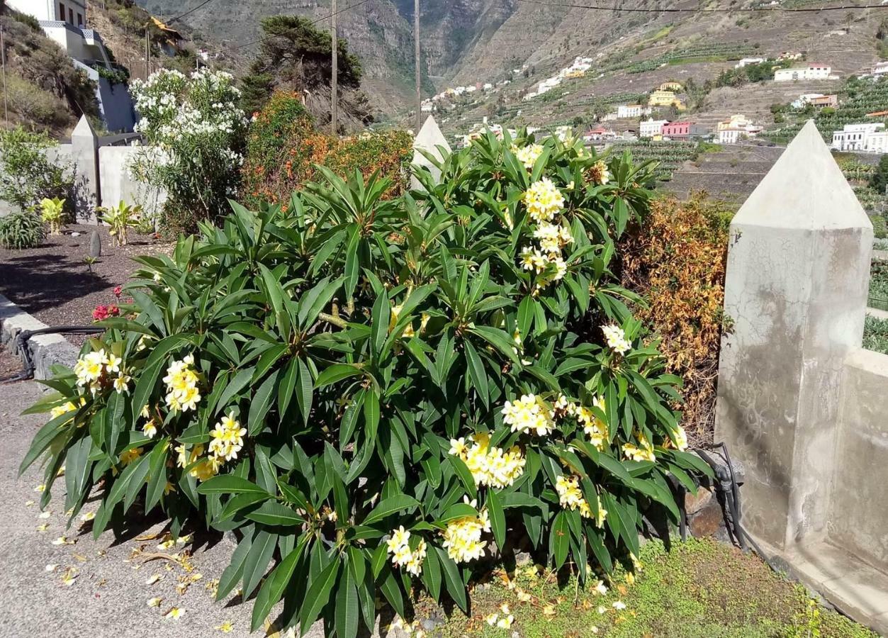 Gomera Garden. Vista Mar Altozano Hermigua Kültér fotó